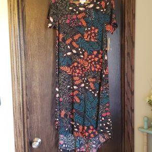 Xxs lularoe carly